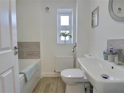 Picture 24